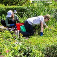 L’insertion professionnelle et suivi